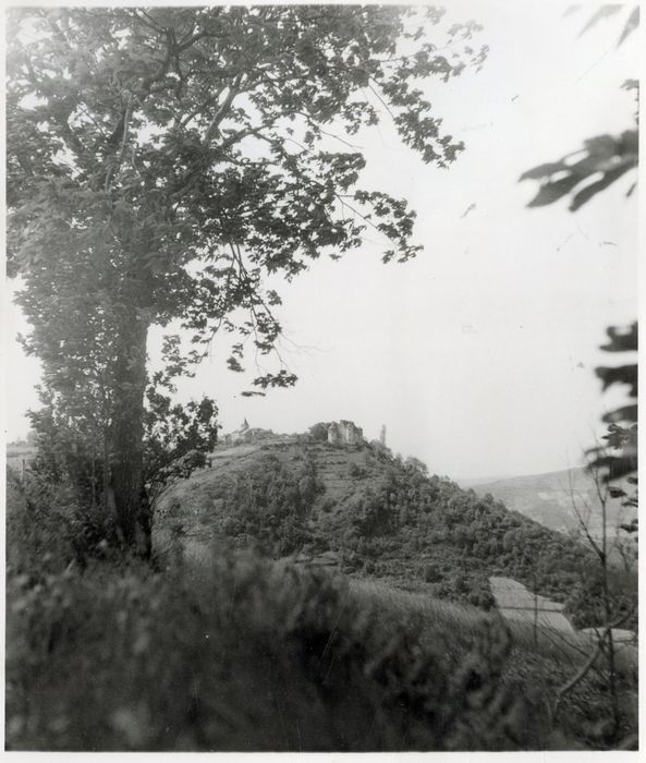 vue générale du château dans son environnement depuis le Sud-Est