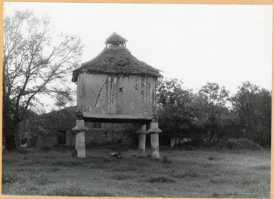 vue générale du pigeonnier