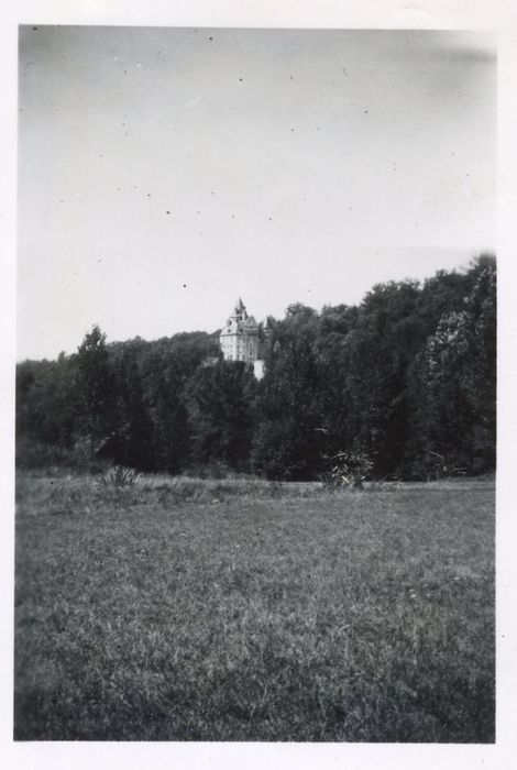 vue générale du château dans son environnement depuis l’Est