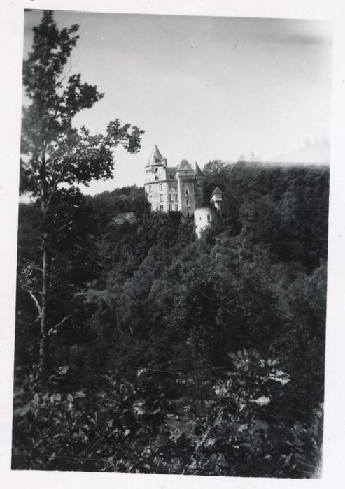 vue générale du château dans son environnement depuis l’Est