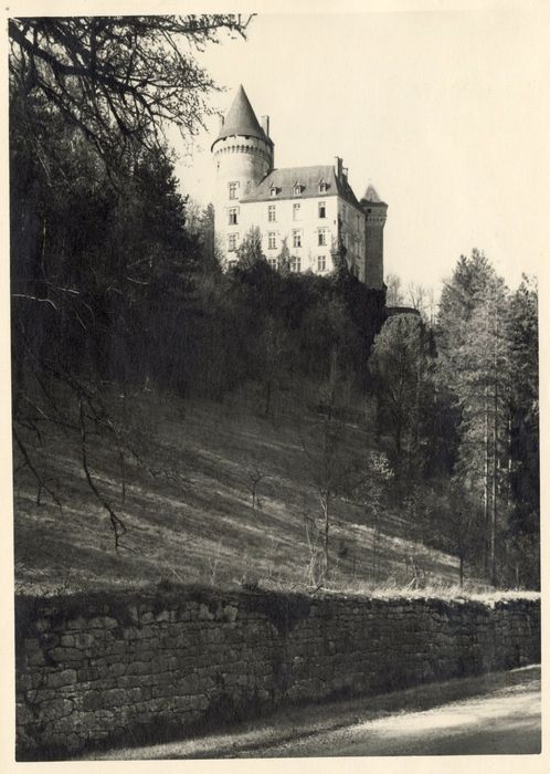 vue générale du château dans son environnement depuis le Sud