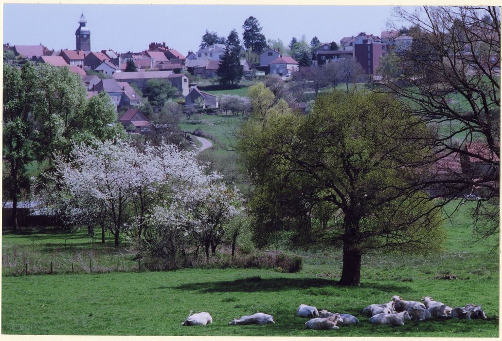 vue générale du beffroi dans son environnement depuis le Sud-Est