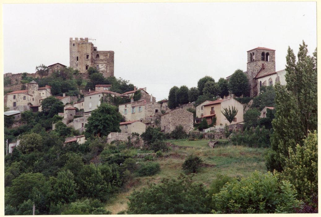 vue générale du château dans son environnement depuis le Sud-Est