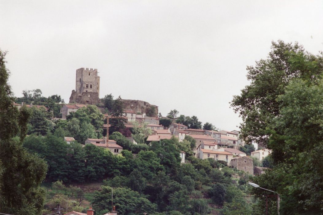 vue générale du château dans son environnement depuis le Sud