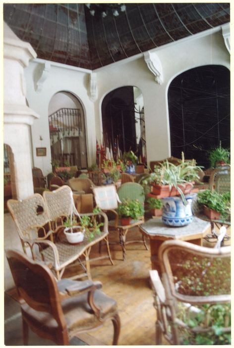 jardin d’hiver, vue partielle