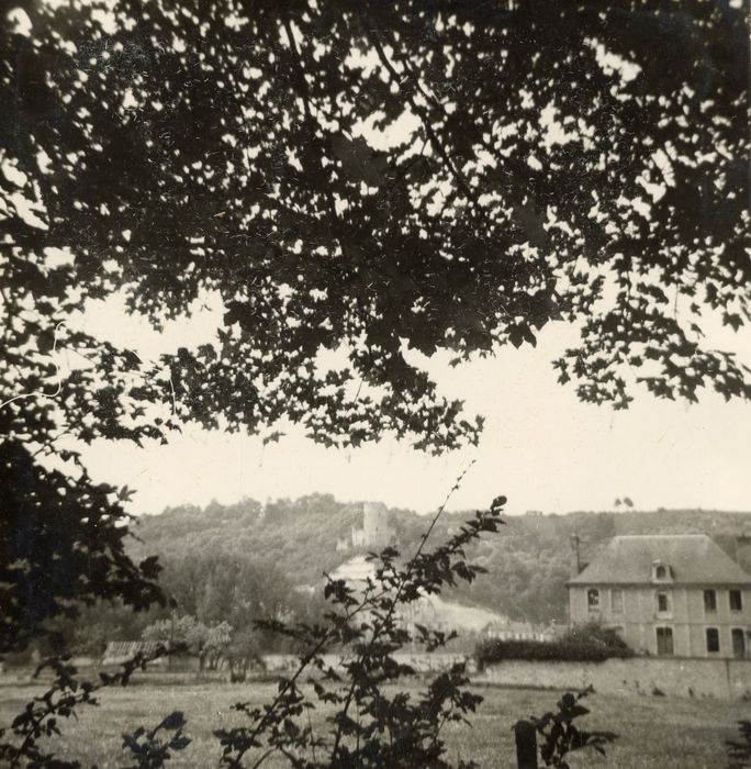 vue partielle du manoir dans son environnement depuis le Sud