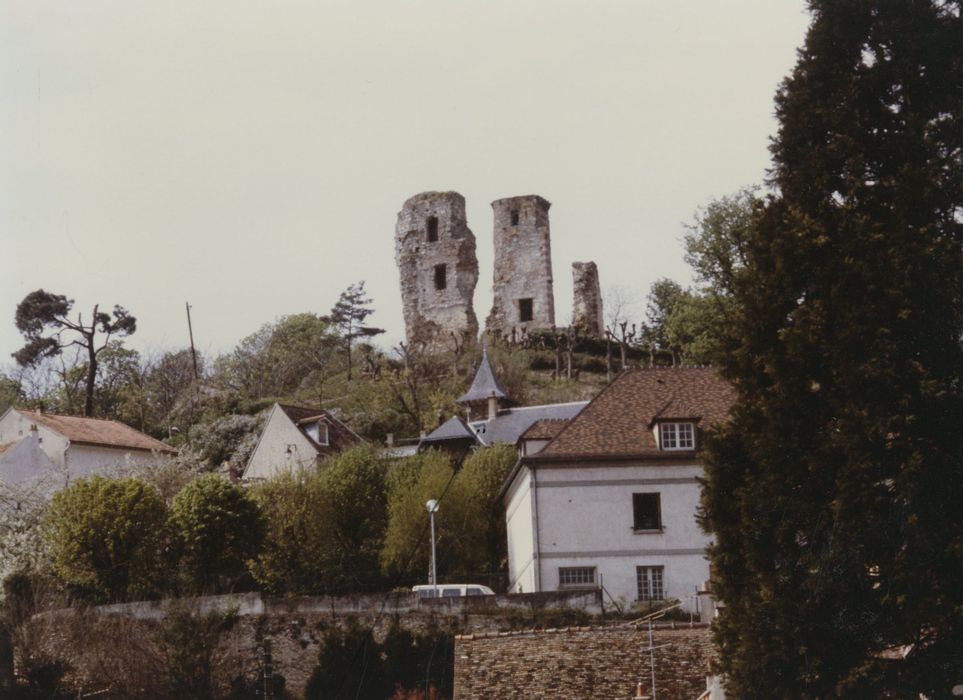 vue générale des vestiges depuis la maison de Maurice Ravel au Sud-Est