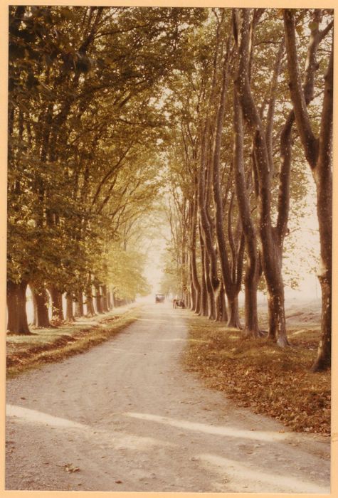 parc, grande allée ouest