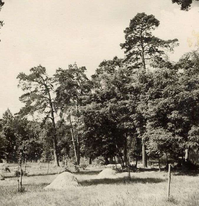 vue partielle du parc