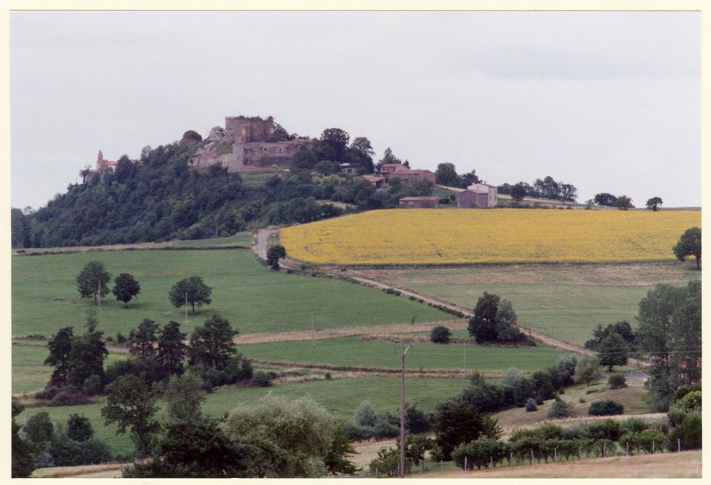 vue générale du château dans son environnement depuis le Sud-Est