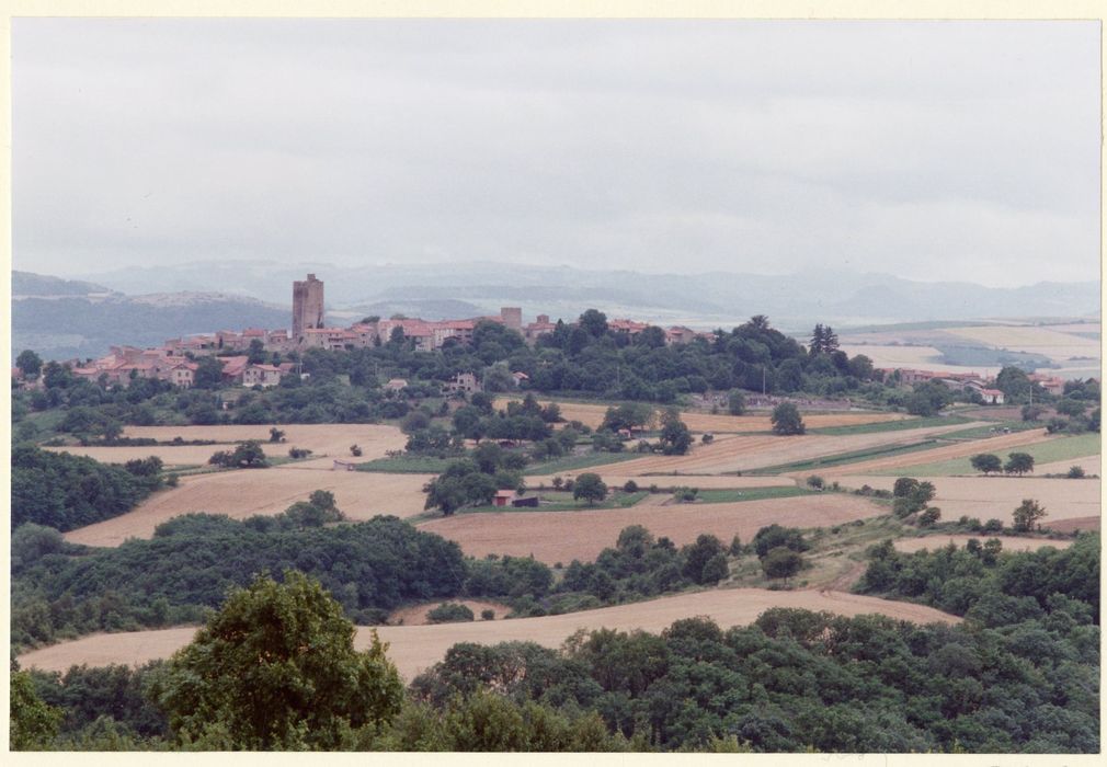 vue générale du donjon dans son environnement depuis l’Est