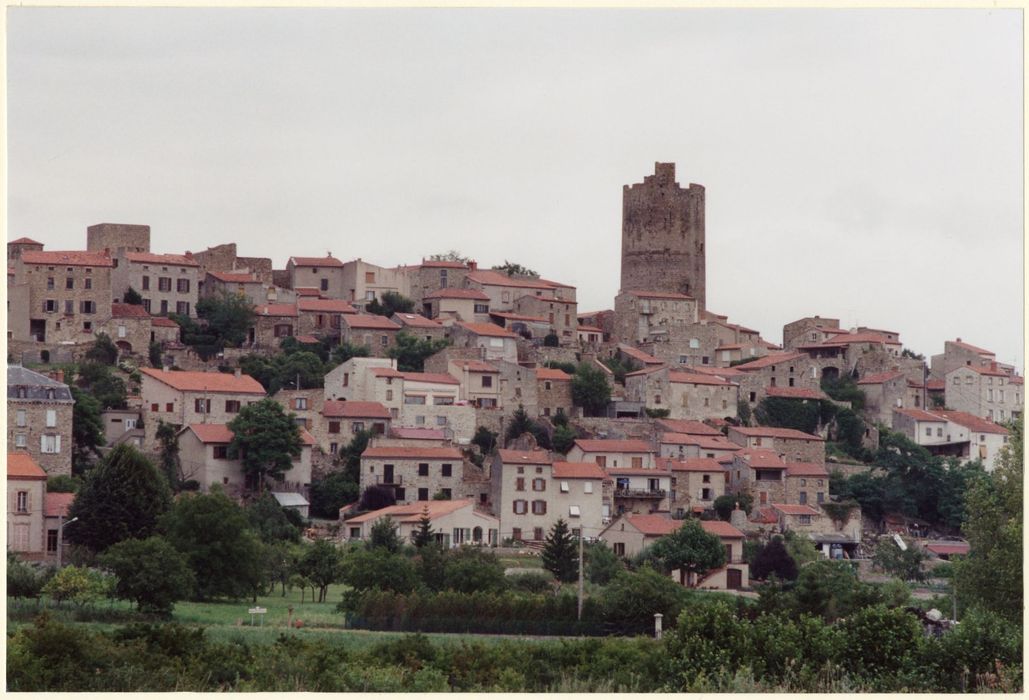 vue générale du donjon dans son environnement depuis le Nord-Ouest