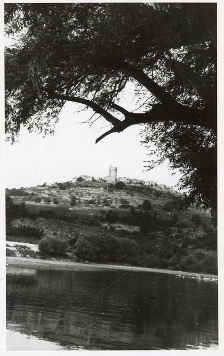 vue générale du donjon dans son environnement depuis le Sud-Est