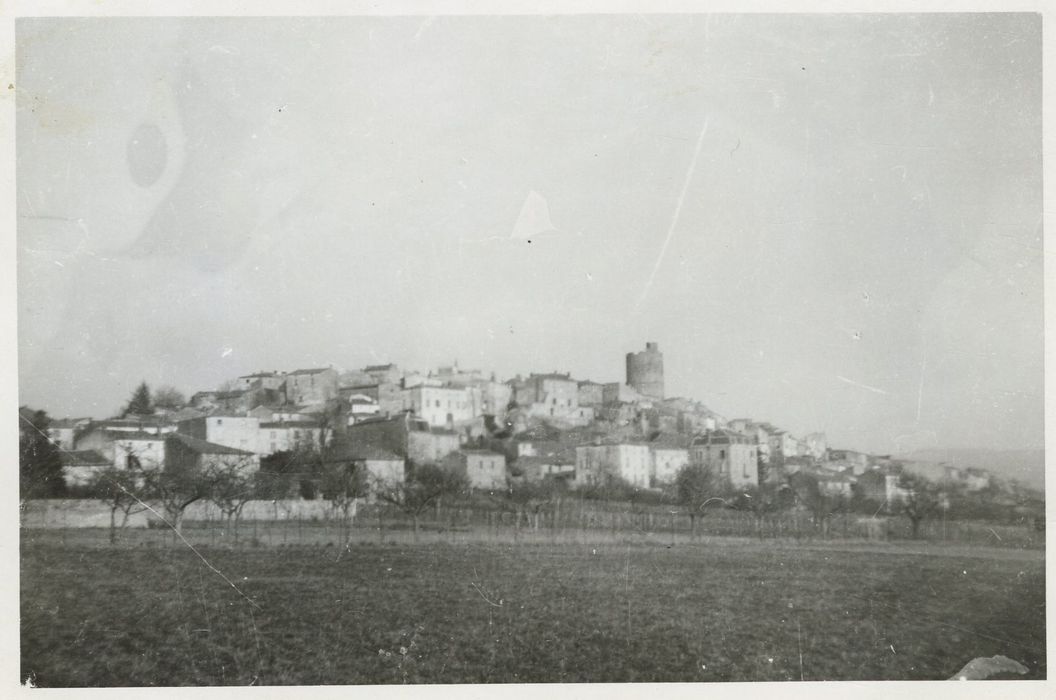 vue générale du donjon dans son environnement depuis l’Ouest