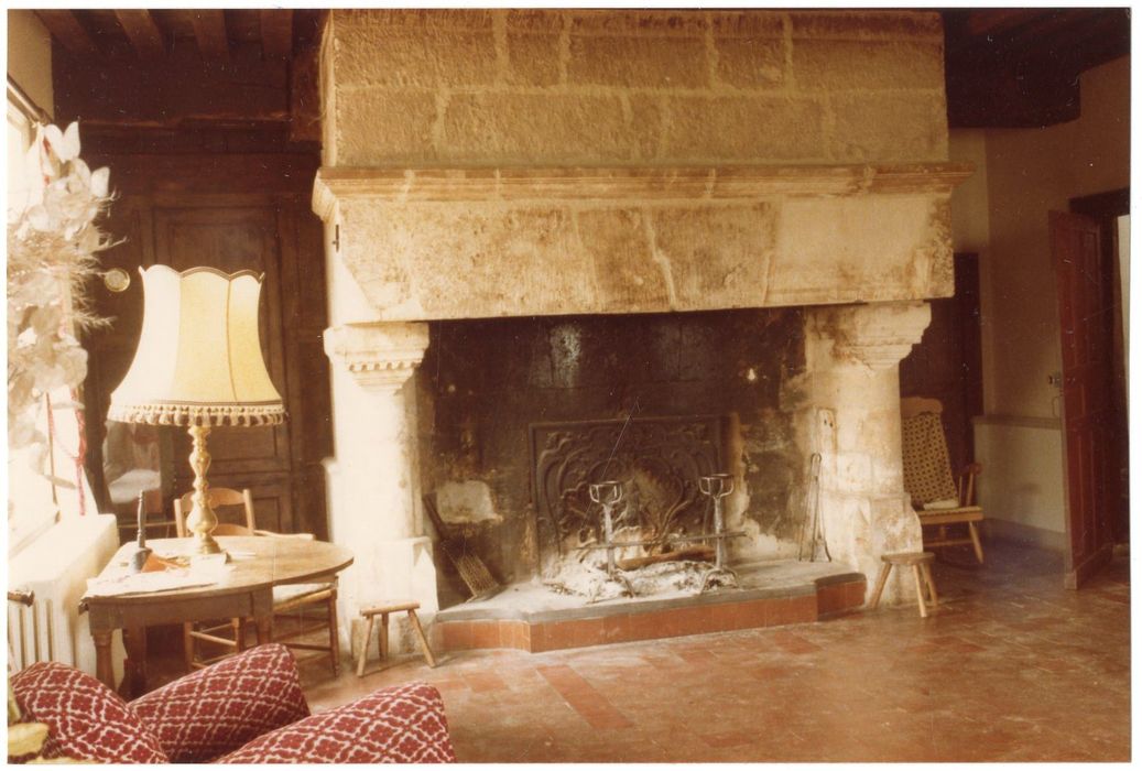 rez-de-chaussée, salon, cheminée monumentale