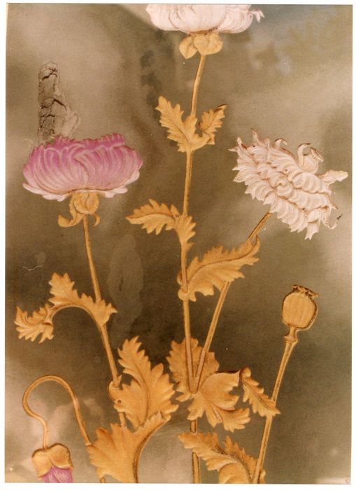 devanture, détail