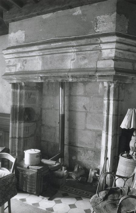 rez-de-chaussée, grand salon, cheminée monumentale