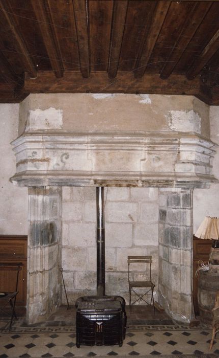 rez-de-chaussée, grand salon, cheminée monumentale