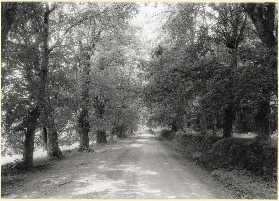 allée d’accès sud
