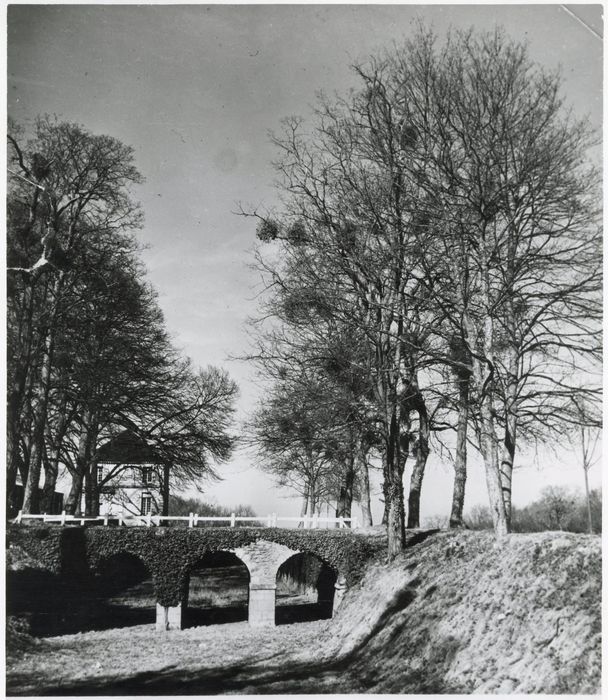 parc, fossés est