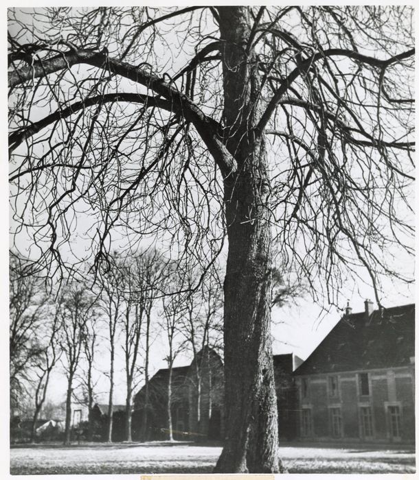 parc, vue partielle