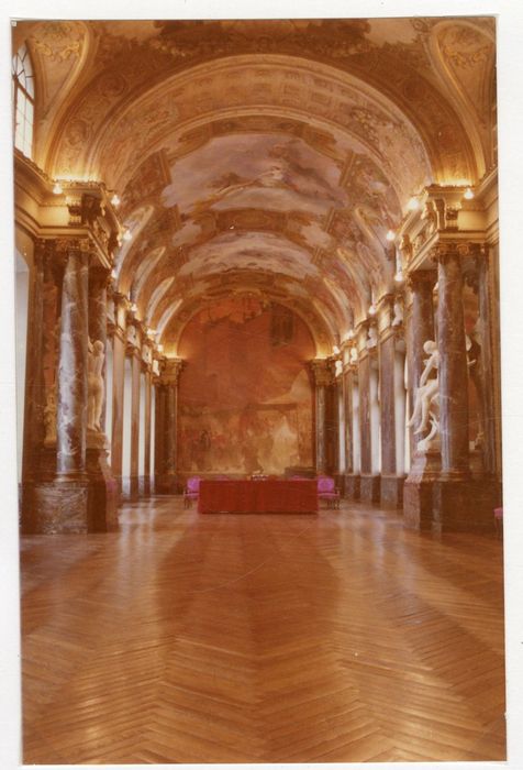 salle des Illustres, vue générale de la voûte