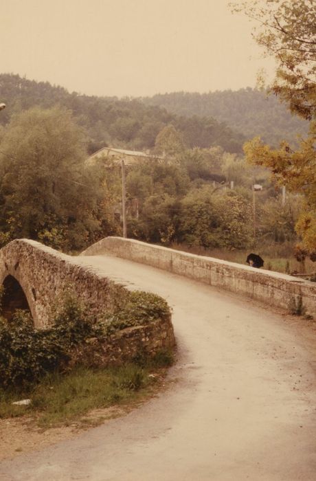 vue générale du tablier