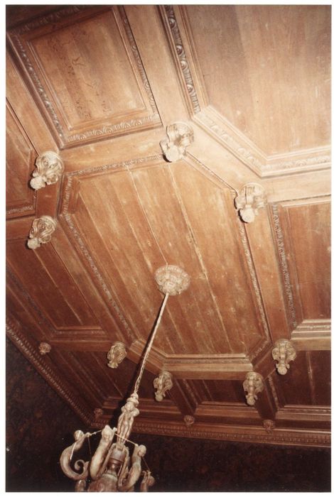salle à manger, vue partielle du plafond lambrissé