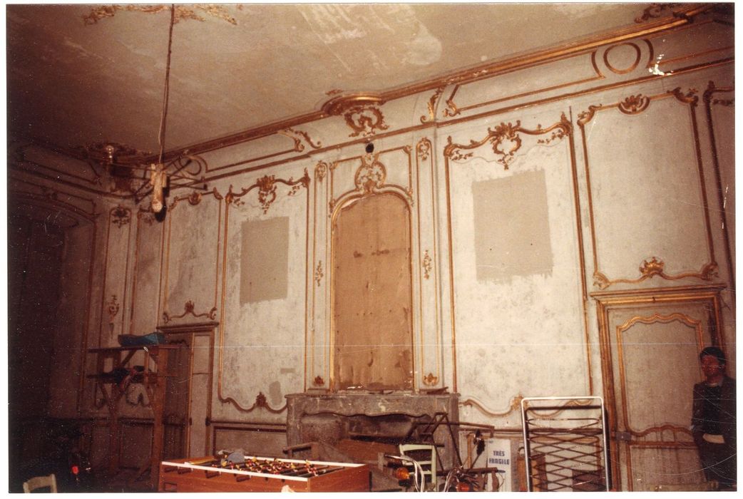 grand salon, vue partielle des lambris de revêtement