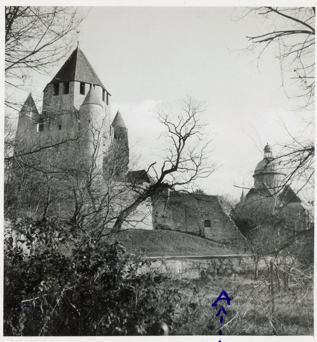 vue partielle du château dans son environnement depuis le Sud-Ouest