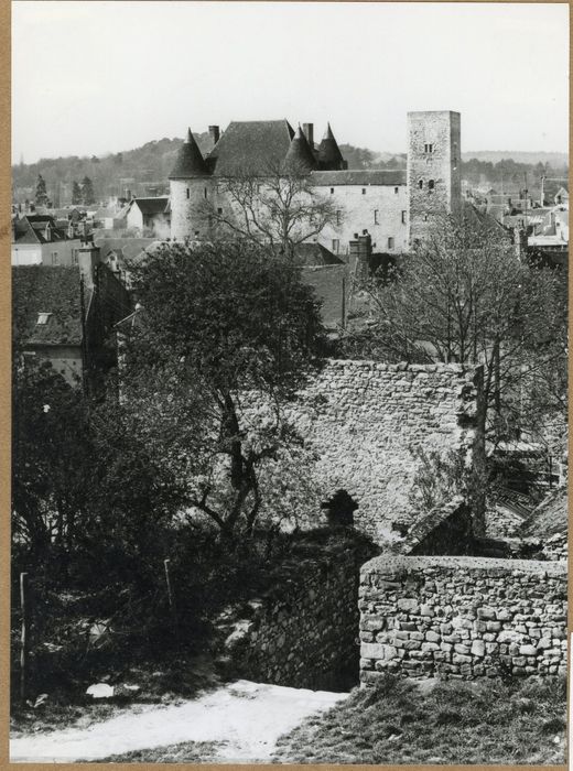vue générale du château dans son environnement depuis le Nord-Est