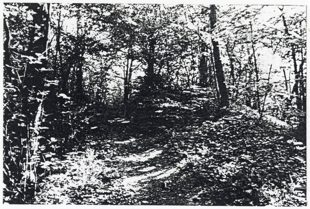 vue partielle du site, rempart à l’ouest de Belfort (photocopie numérisée)