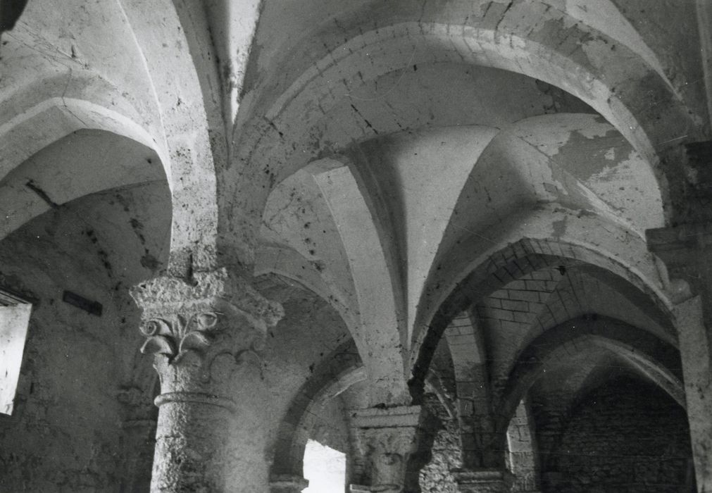 salle des Vieux Bains, vue partielle des voûtes