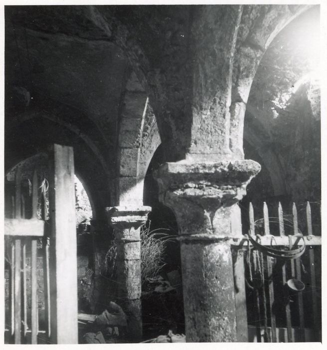 vue partielle de la cave