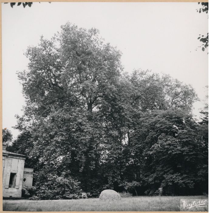 parc, vue partielle