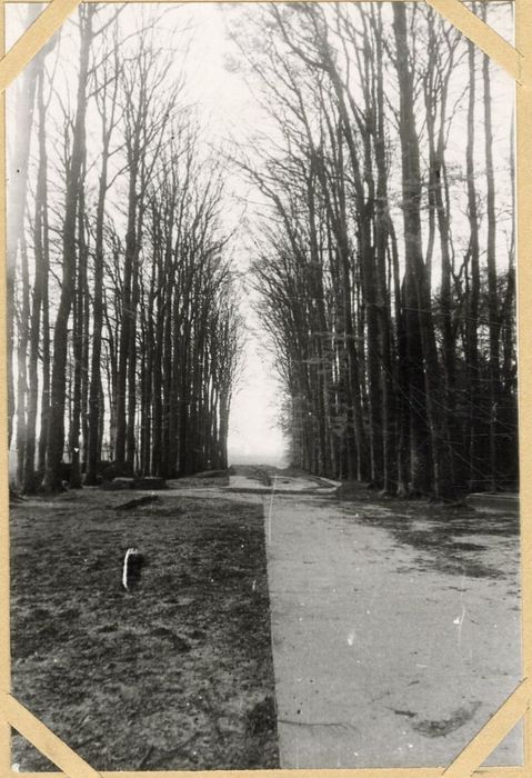 parc, grande allée d’accès sud-est