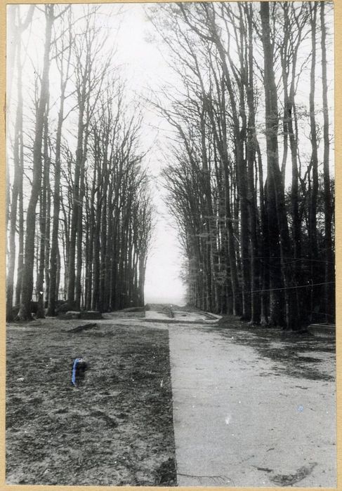 parc, grande allée d’accès sud-est