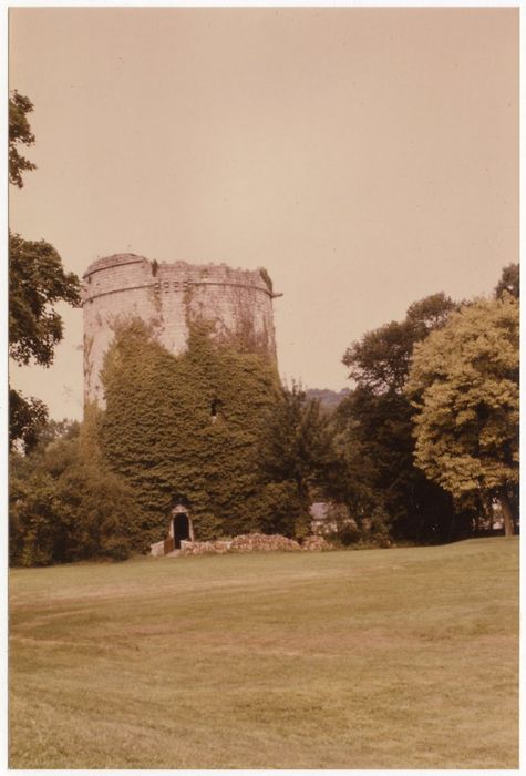 donjon