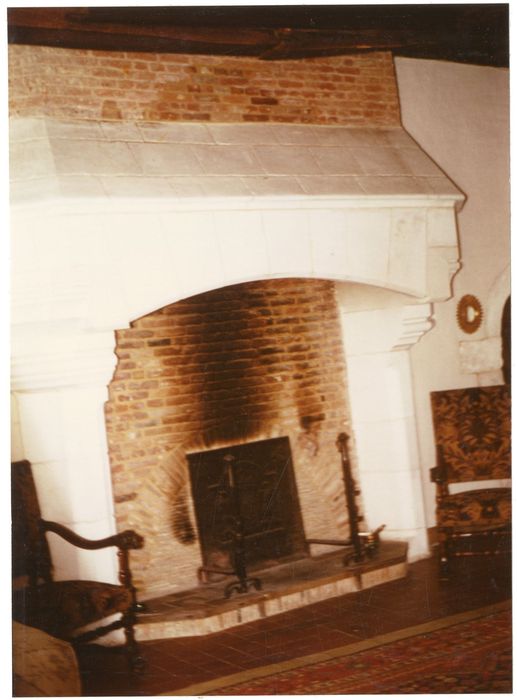 1er étage, salon, cheminée monumentale