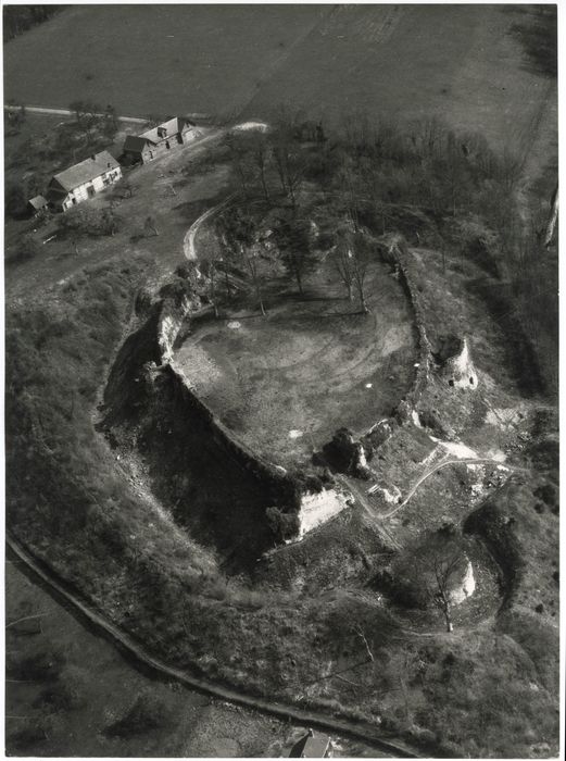 vue aérienne de l’ensemble des ruines dans leur environnement