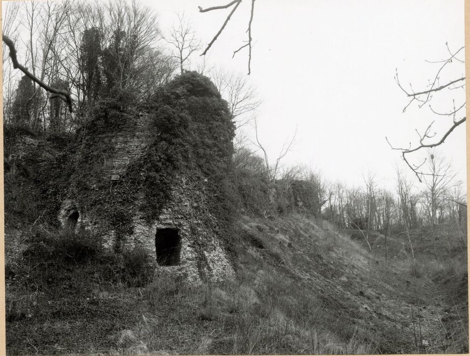 vue partielle des vestiges de l’enceinte