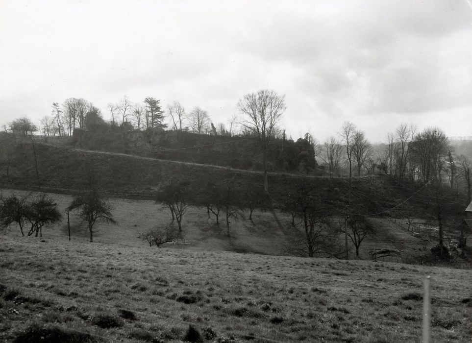 vue générale du site
