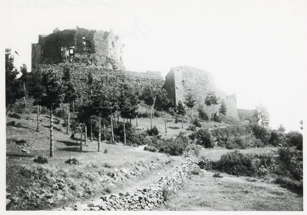 vue générale des ruines dans leur environnement