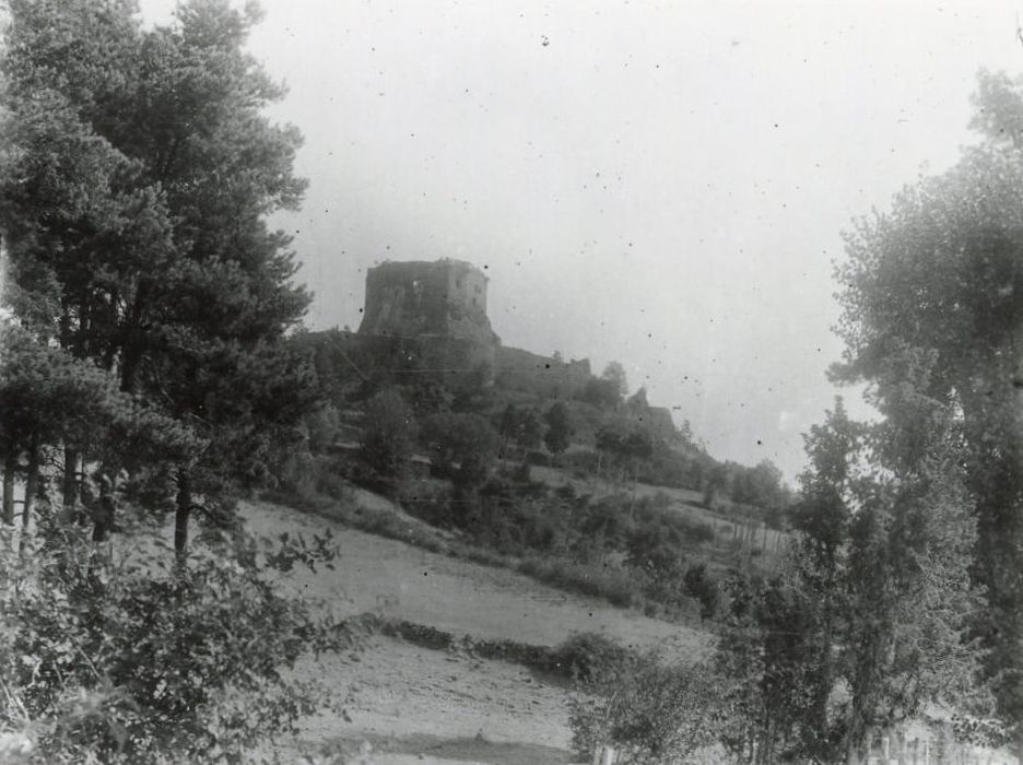 vue générale des ruines dans leur environnement