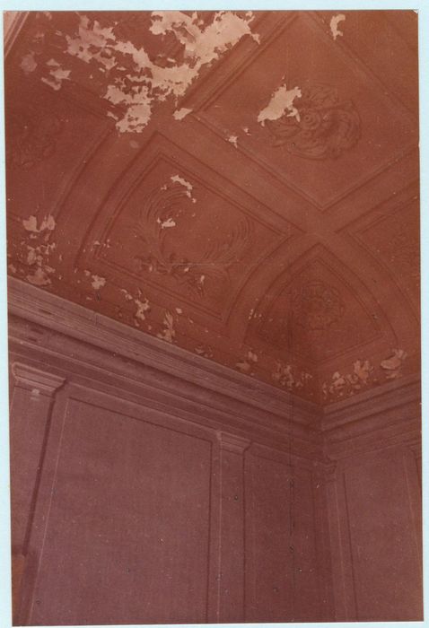 vue partielle de la voûte de l’escalier monumental