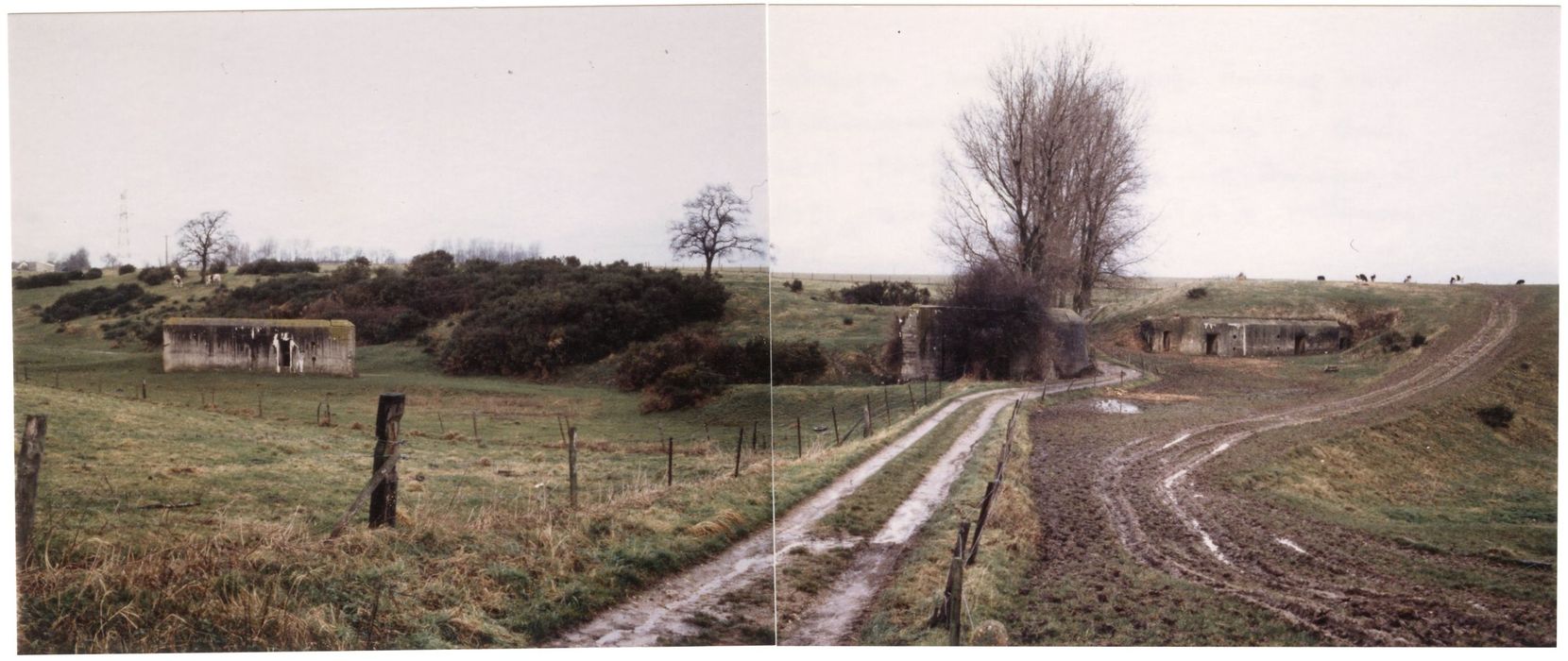 vue générale du site en direction du Nord