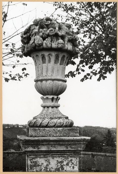 parc, vase aux fruits