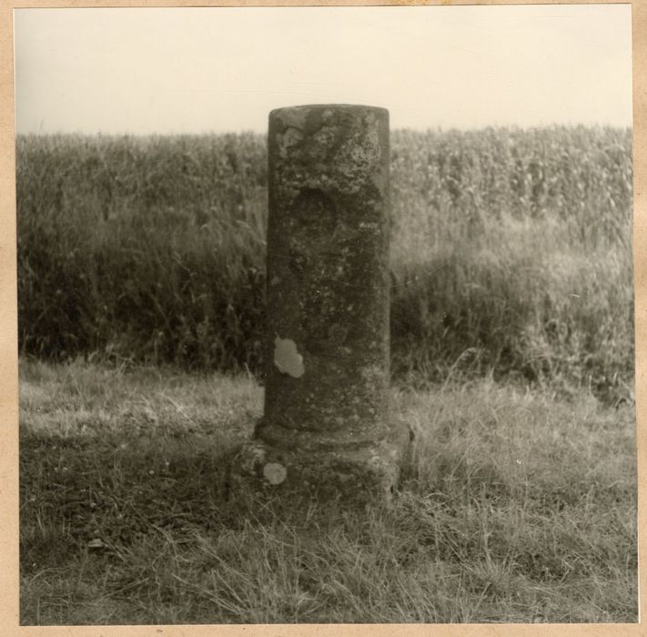 vue générale de la borne