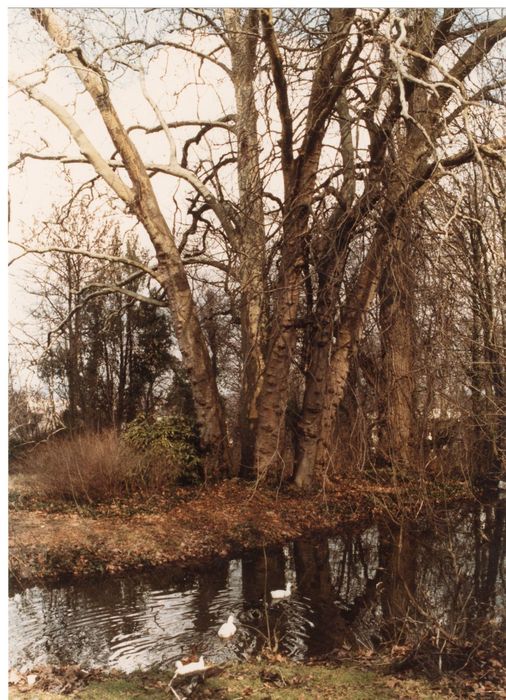 parc, vue partielle
