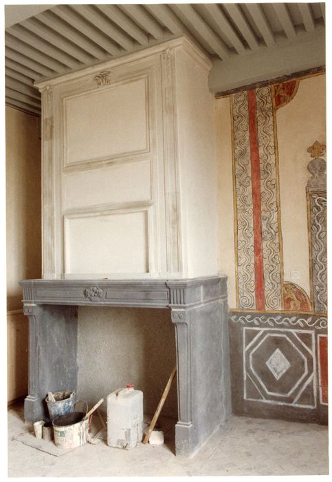 1er étage, salon-bibliothèque, cheminée